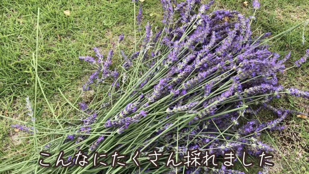 【材料たったの3つ】生花を使ったナチュラルリースの作り方！100均の土台で簡単！