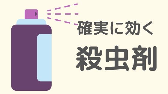 【虫画像なし！】超臭いカメムシから家を守れ！効果テキメンな殺虫剤はコレ！