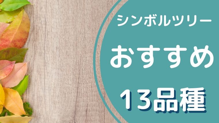 【目的別】シンボルツリーの選び方とおすすめ13品種！管理がラクなのにお庭がランクアップするのはコレ！