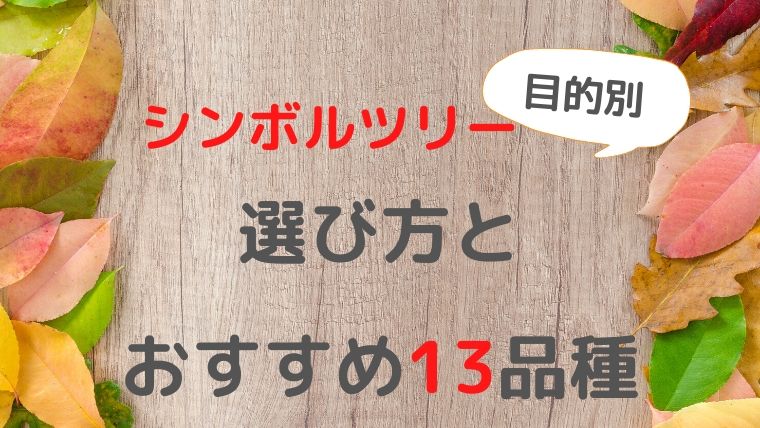 【目的別】シンボルツリーの選び方とおすすめ13品種！管理がラクなのにお庭がランクアップするのはコレ！