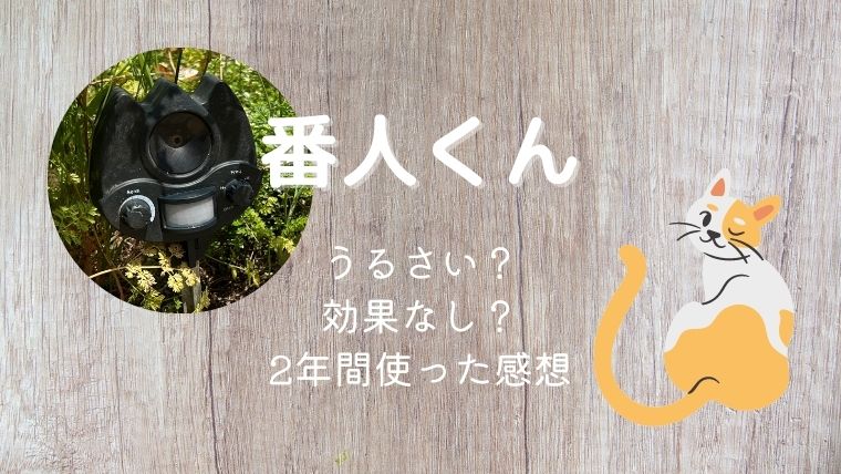 番人くんは効果なし・うるさいなどの評価は本当？実際に2年間使った結果