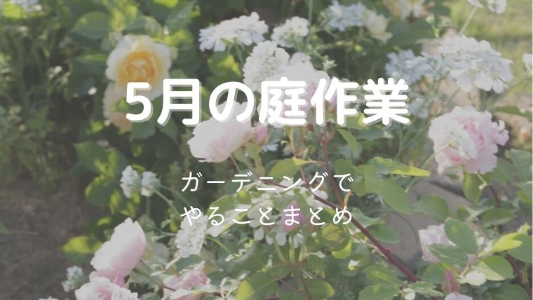 ガーデニングの季節・5月の庭作業まとめ！初心者でもわかりやすく解説