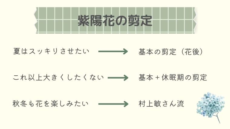 紫陽花の花後剪定のしかた