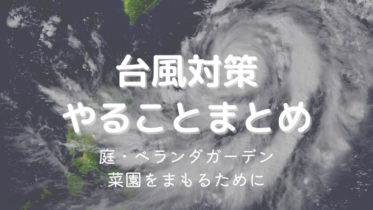 台風対策をして大事な植物を守ろう！庭や菜園、ベランダで今すぐできること