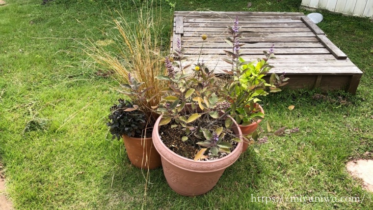 台風対策。大きな植木鉢が強風に飛ばされないようにする方法