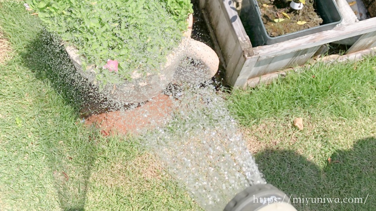 台風後にやること