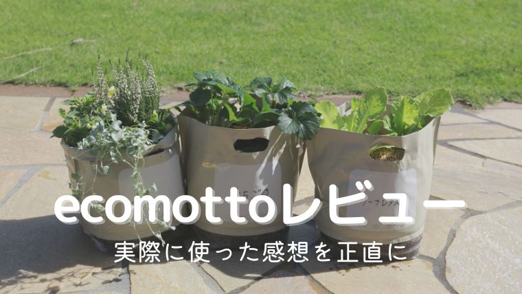 ecomottoのレビュー！袋栽培プランターはベランダガーデニングにもおすすめ