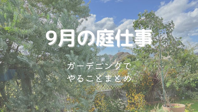 9月のガーデニング作業まとめ！やるべき庭仕事を初心者にもわかりやすく解説