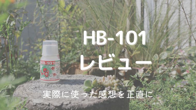 HB-101レビュー！実際に使ってみた効果。ガーデニング歴20年以上の母もおすすめ