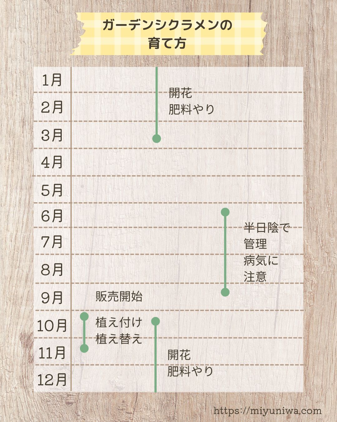 ガーデンシクラメンの育て方