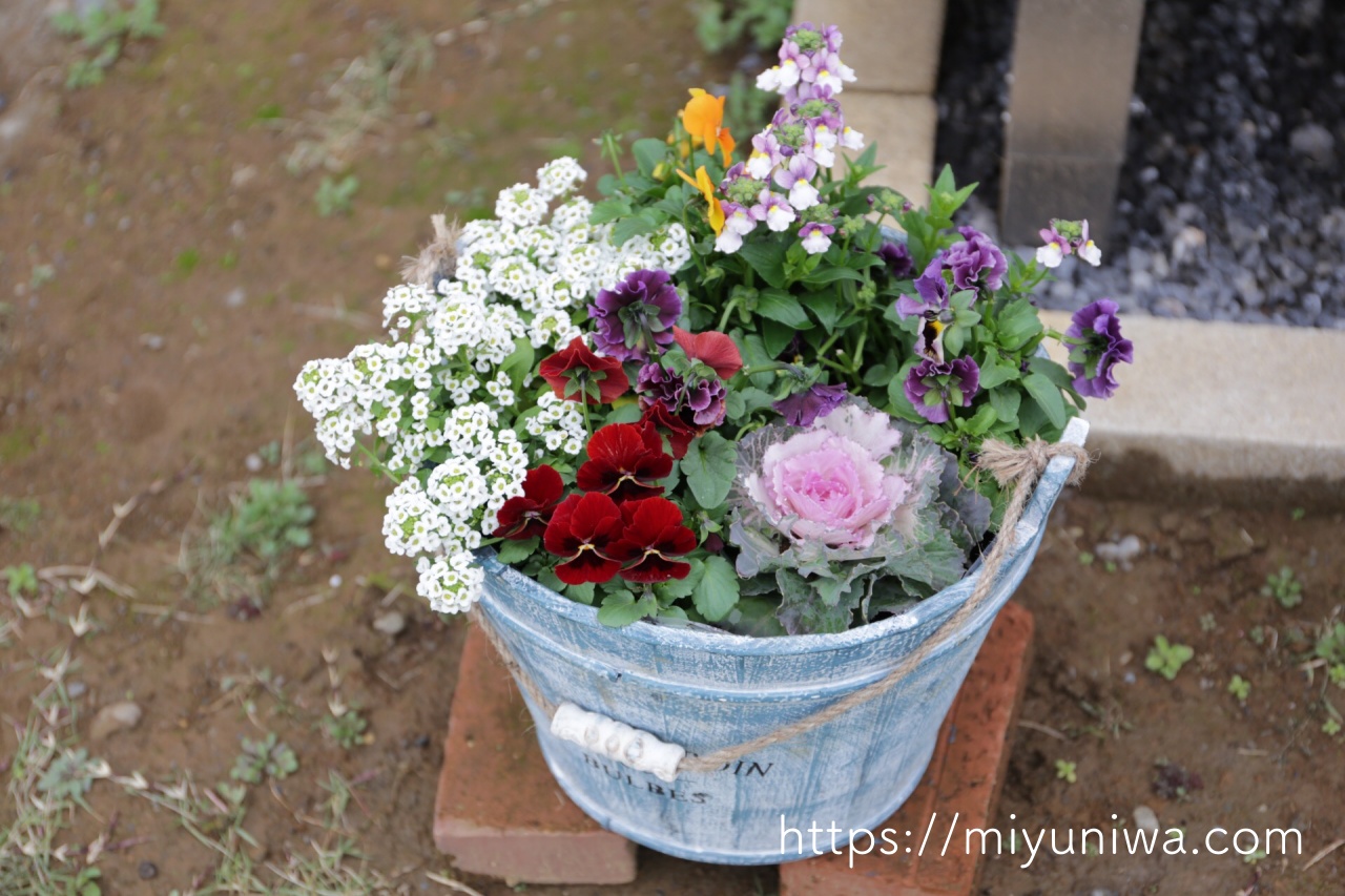 センスのいい寄せ植え・冬の事例