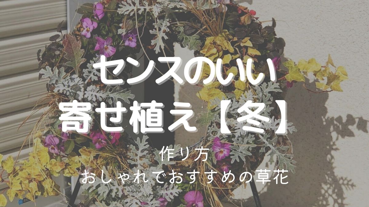 センスのいい寄せ植えの作り方【冬】おしゃれでおすすめの草花9選！