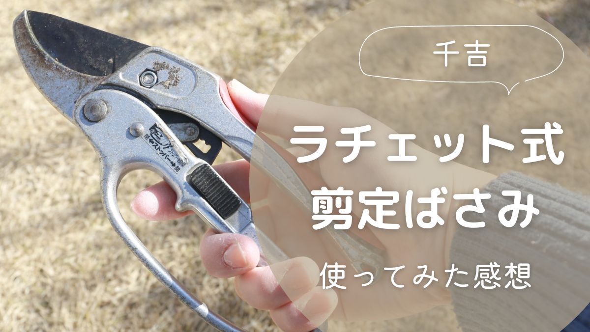 ラチェット式剪定ばさみは千吉がおすすめ！太い枝がラクに切れるから買ってよかった