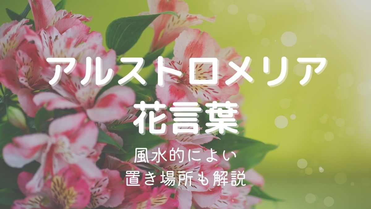 アルストロメリアの花言葉！怖い意味はある？風水的によい置き場所も解説