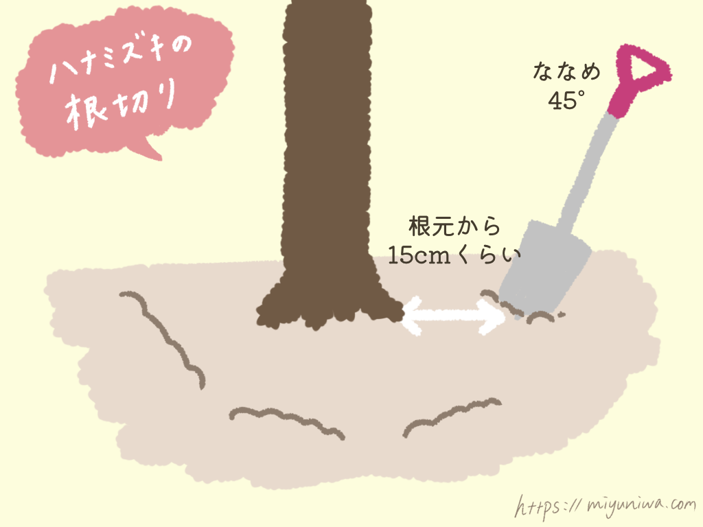 ハナミズキの根切りの方法