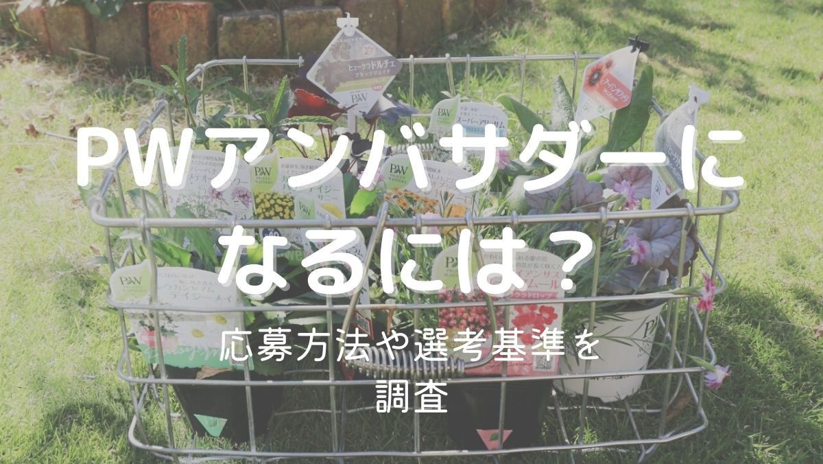 PWアンバサダーになるには？応募方法や選考基準を調査！