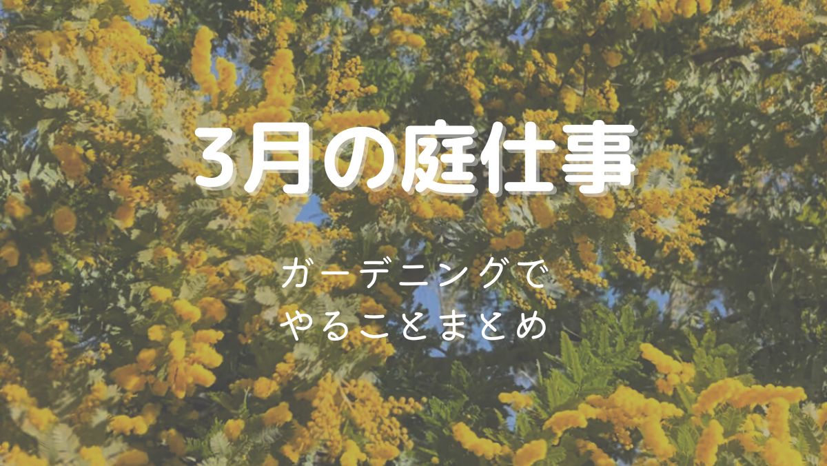 3月のガーデニング作業まとめ！やるべき庭仕事を初心者にもわかりやすく解説