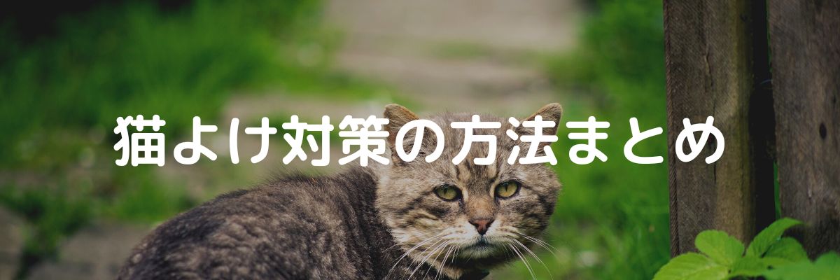 猫よけ対策の方法まとめ