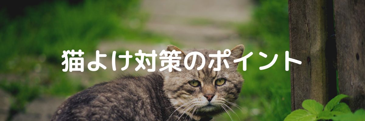 猫よけ対策のポイント