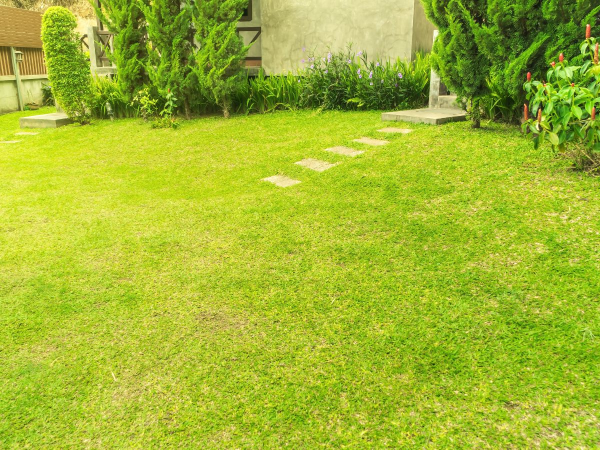 芝生などのグランドカバープランツを植える