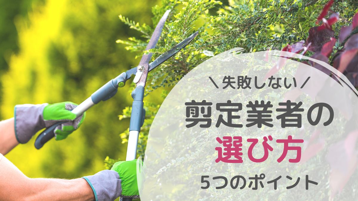 剪定業者の選び方で失敗しない！5つのポイントを解説