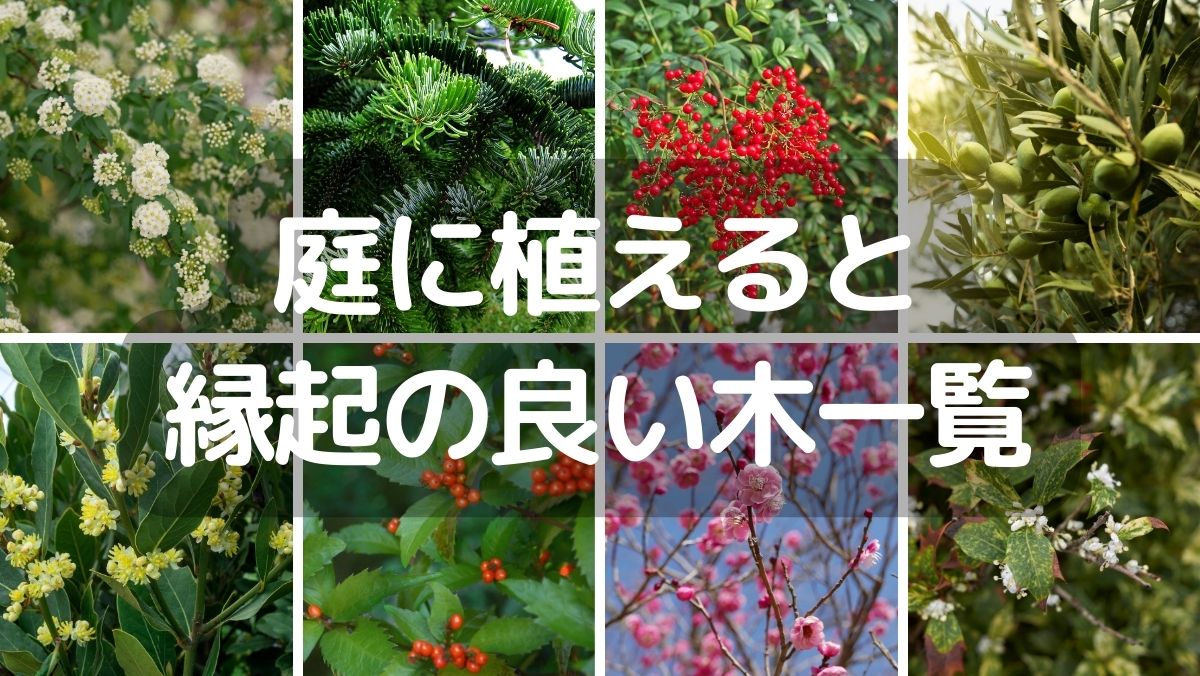 庭に植えると縁起の良い木24選！運気の上がるおすすめを紹介