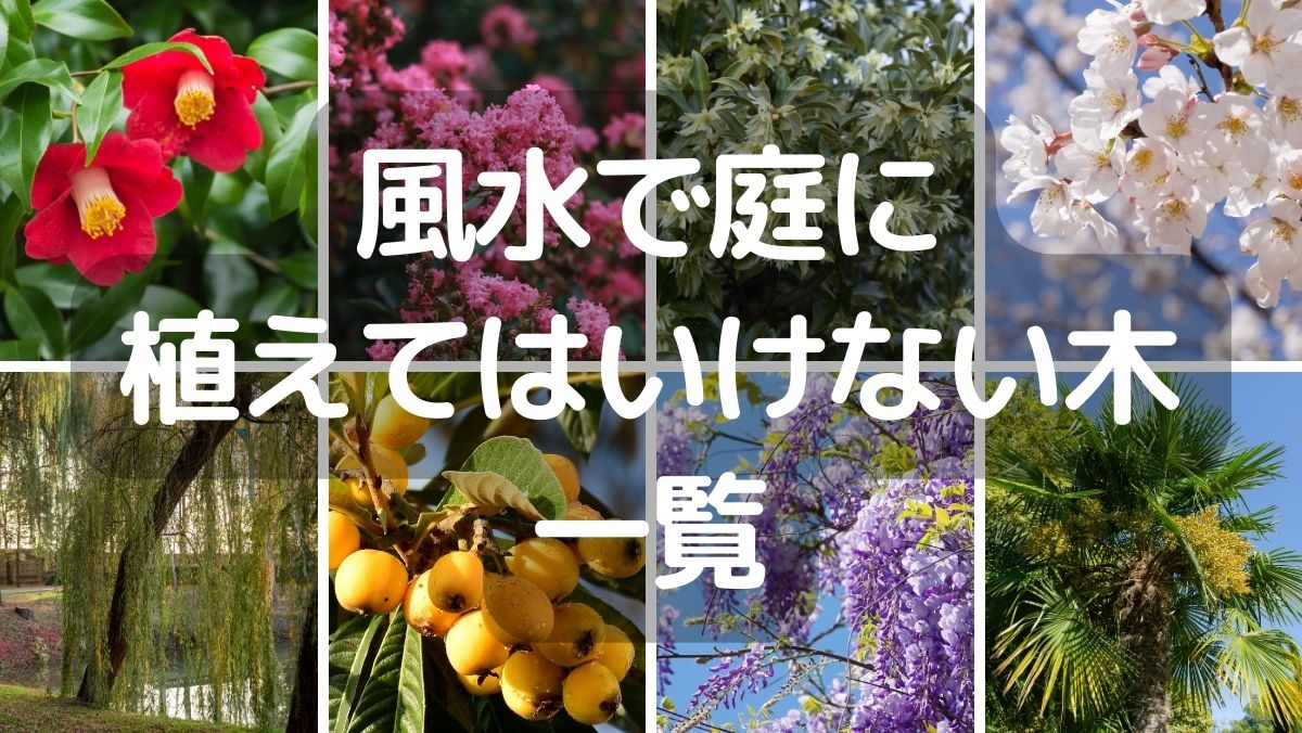 【風水的に縁起が悪い】庭に植えてはいけない木