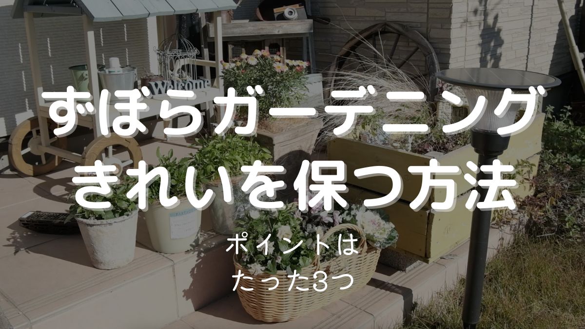 【ずぼらガーデニング】手間をかけずにお庭をきれいに保つコツ3つ解説